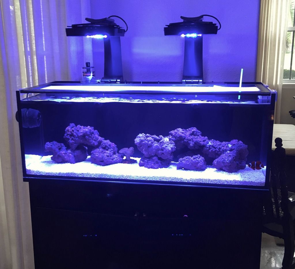 AIO Build Juan's IM Nuvo 30L Reef Aquarium Build Page 8 REEF2REEF